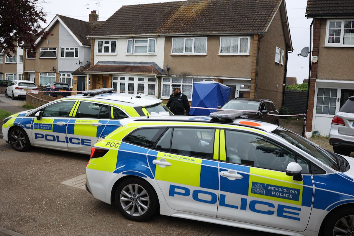 Hornchurch XL Bully attack: Tragic sign outside home where woman was mauled to death by her own XL bullies - Vimarsana News