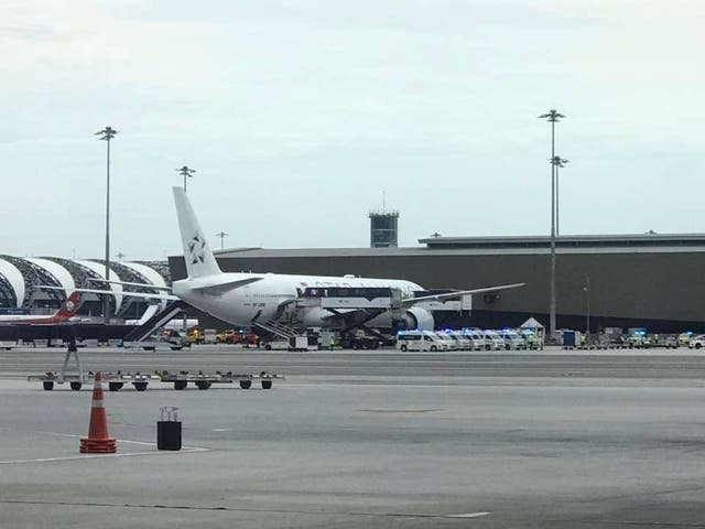 <p>The flight pictured at Bangkok airport with ambulances outside  </p>