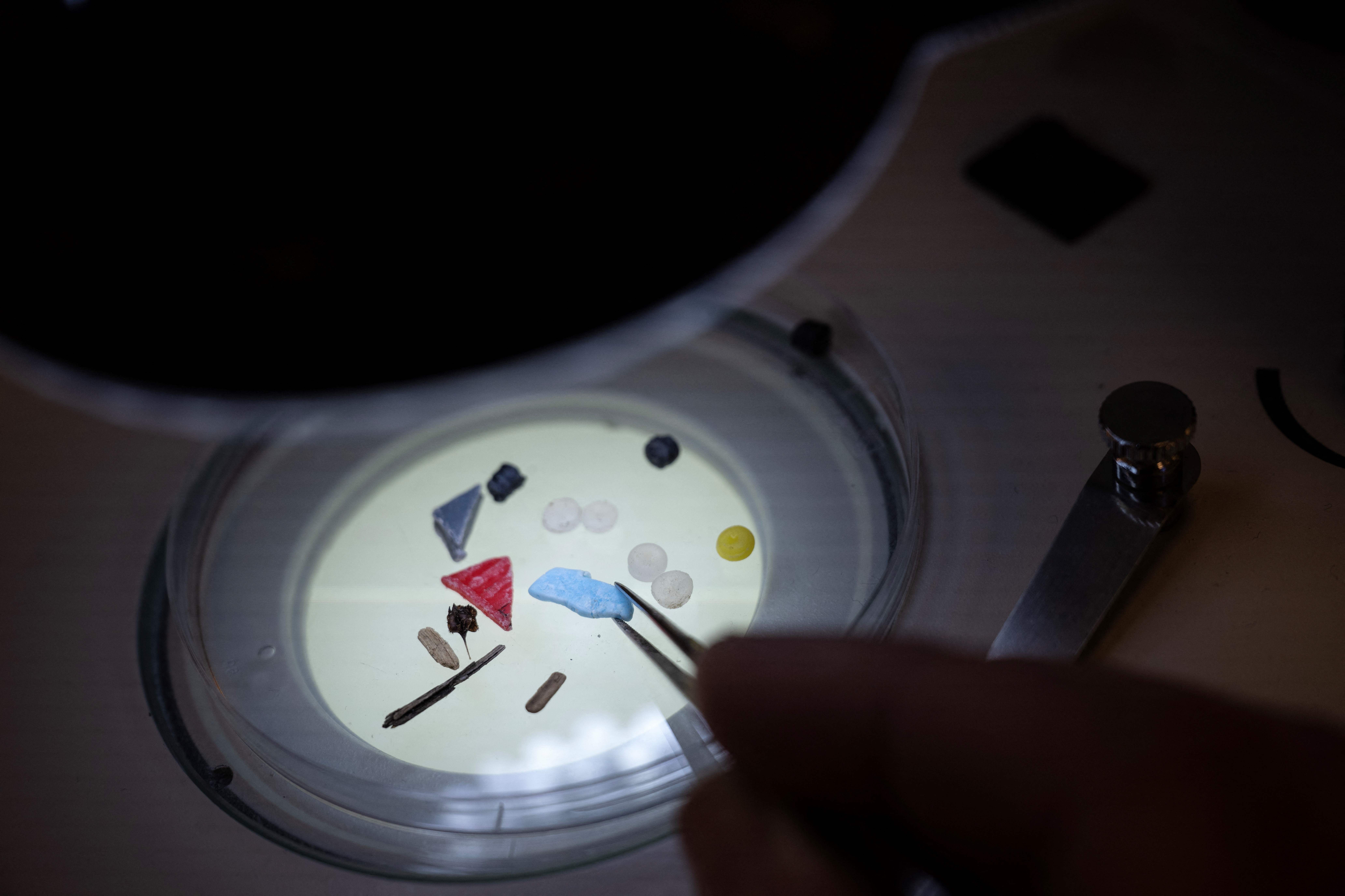 <p>File. After food and water, microplastics have been found in human testicles  </p>