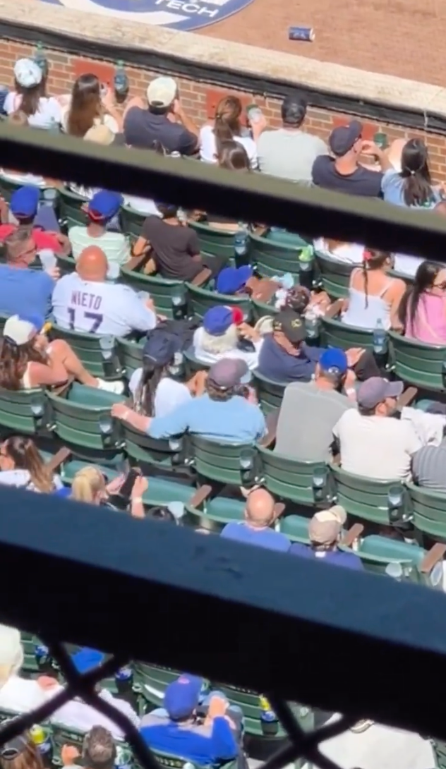 Fan captures Ayo Edebiri and Jeremy Allen White sitting close at baseball game