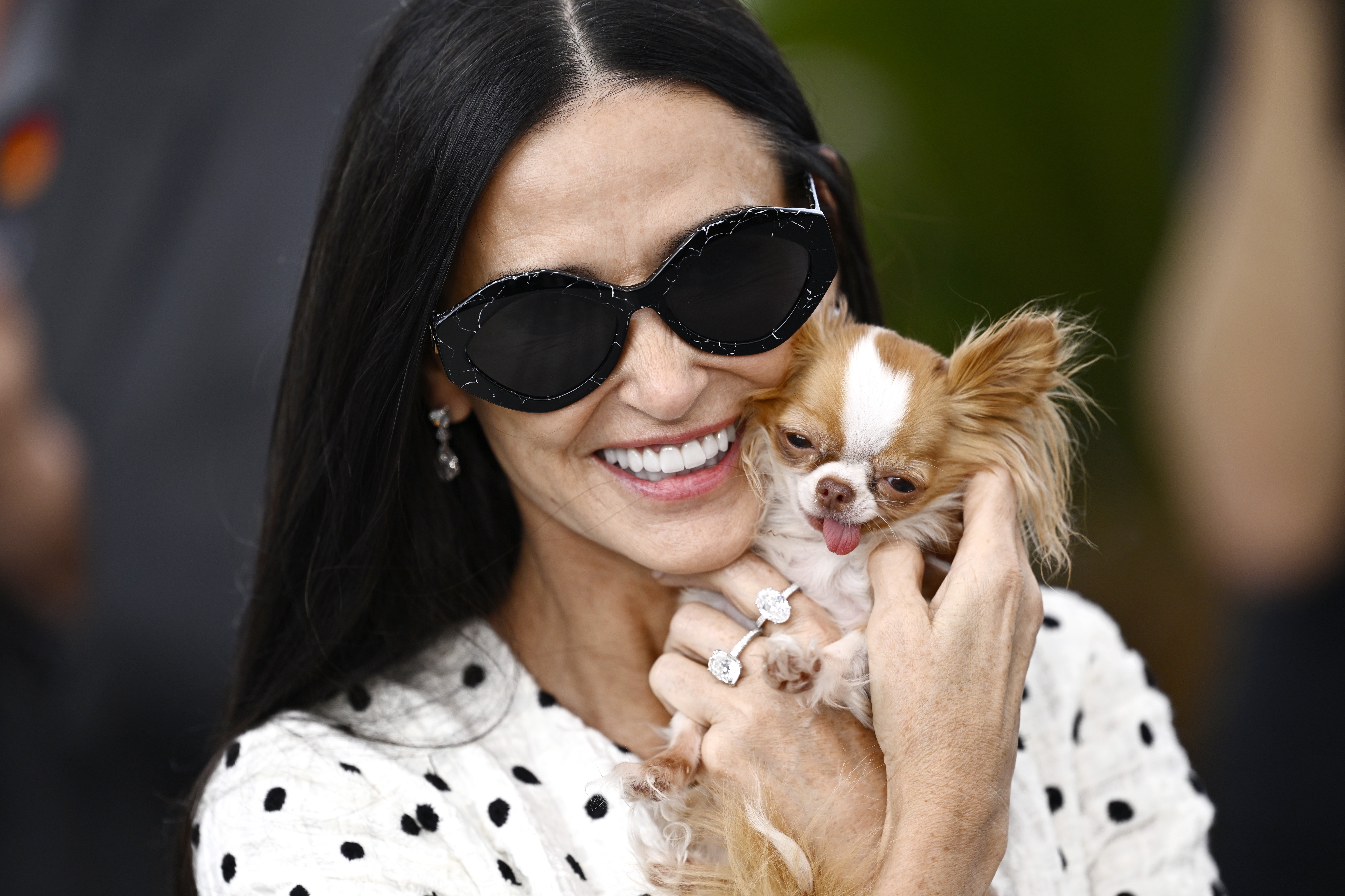 Demi Moore’s chihuahua Pilaf has become an unlikely star at Cannes