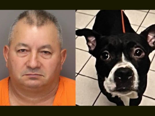 Domingo R Rodriquez has been charged with felony animal cruelty after allegedly decapitating and disposing of a 4-year-old dog, Dexter, in Fort DeSoto Park in Pinellas County, Florida