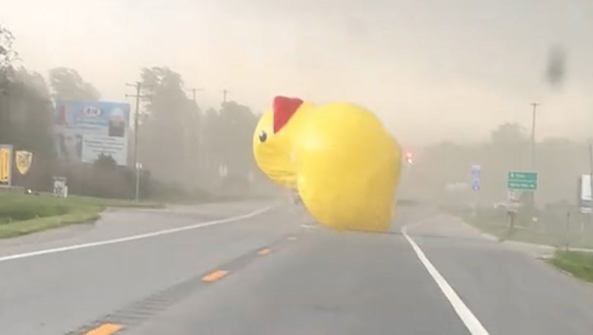 Gigantic flying inflatable duck misses driver by metres on Michigan road