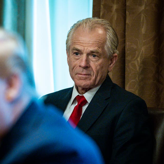 <p>Ex-Trump official Peter Navarro has predicted ‘mass deportations’ should Donald Trump return to the White House, during a recent interview from jail </p>
