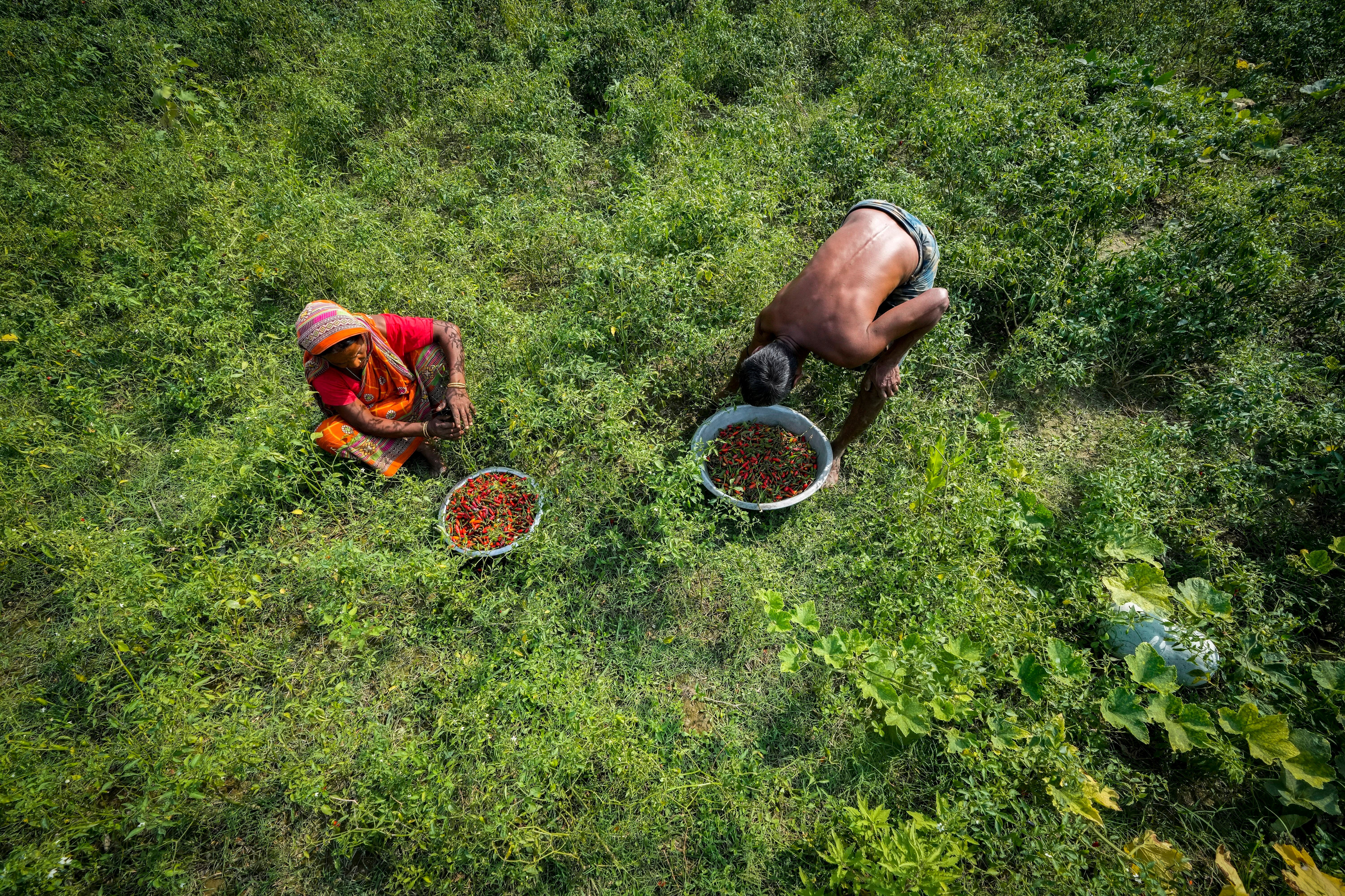 Climate India River Islands