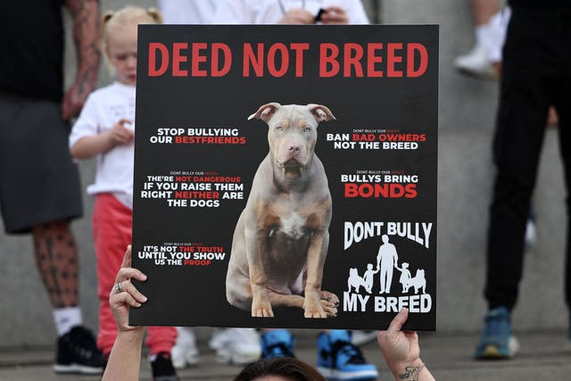 <p>Supporters hold placards during a protest against the Government's plans to ban the XL bully breed </p>