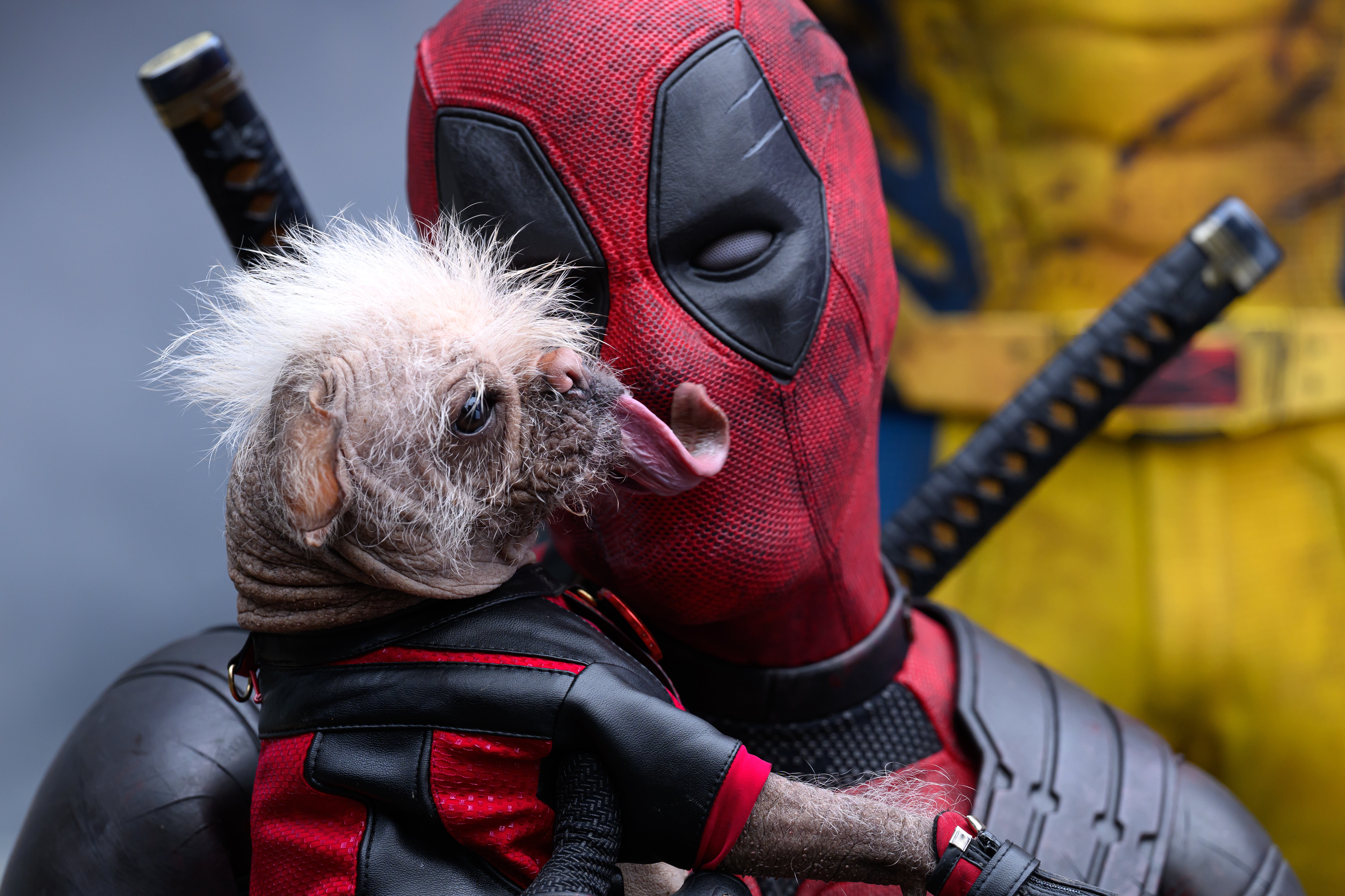 Dog days: Ryan Reynolds as the ‘Merc with a Mouth’ in ‘Deadpool & Wolverine'