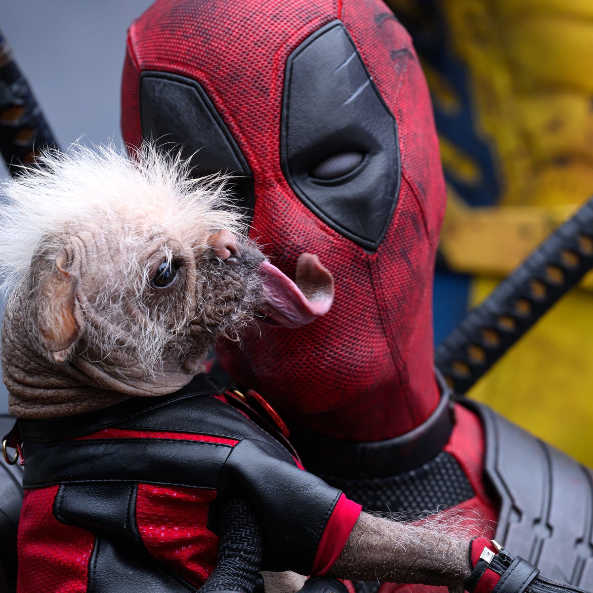 Unleashing the Dynamic Duo: How Deadpool & Wolverine Could Revitalize Marvel - Marketing and audience engagement techniques