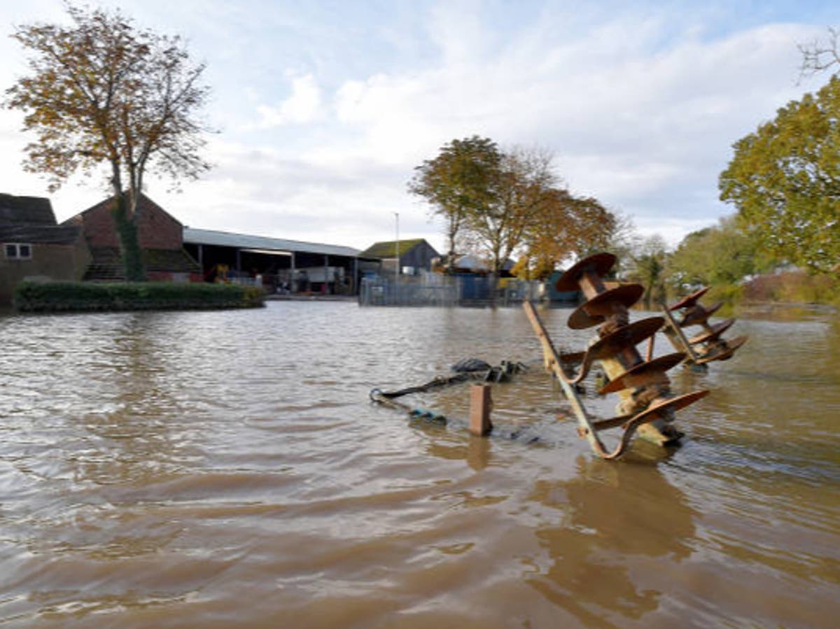 Weather and farming: Heavier downpours will mean food shortages and hit animals, NFU warns