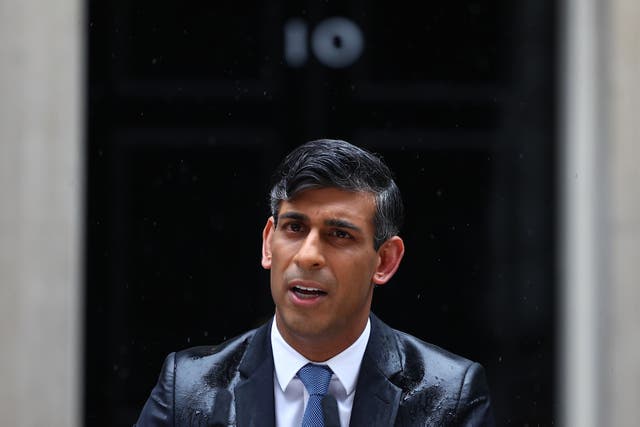 <p>Rishi Sunak, former prime minister</p>