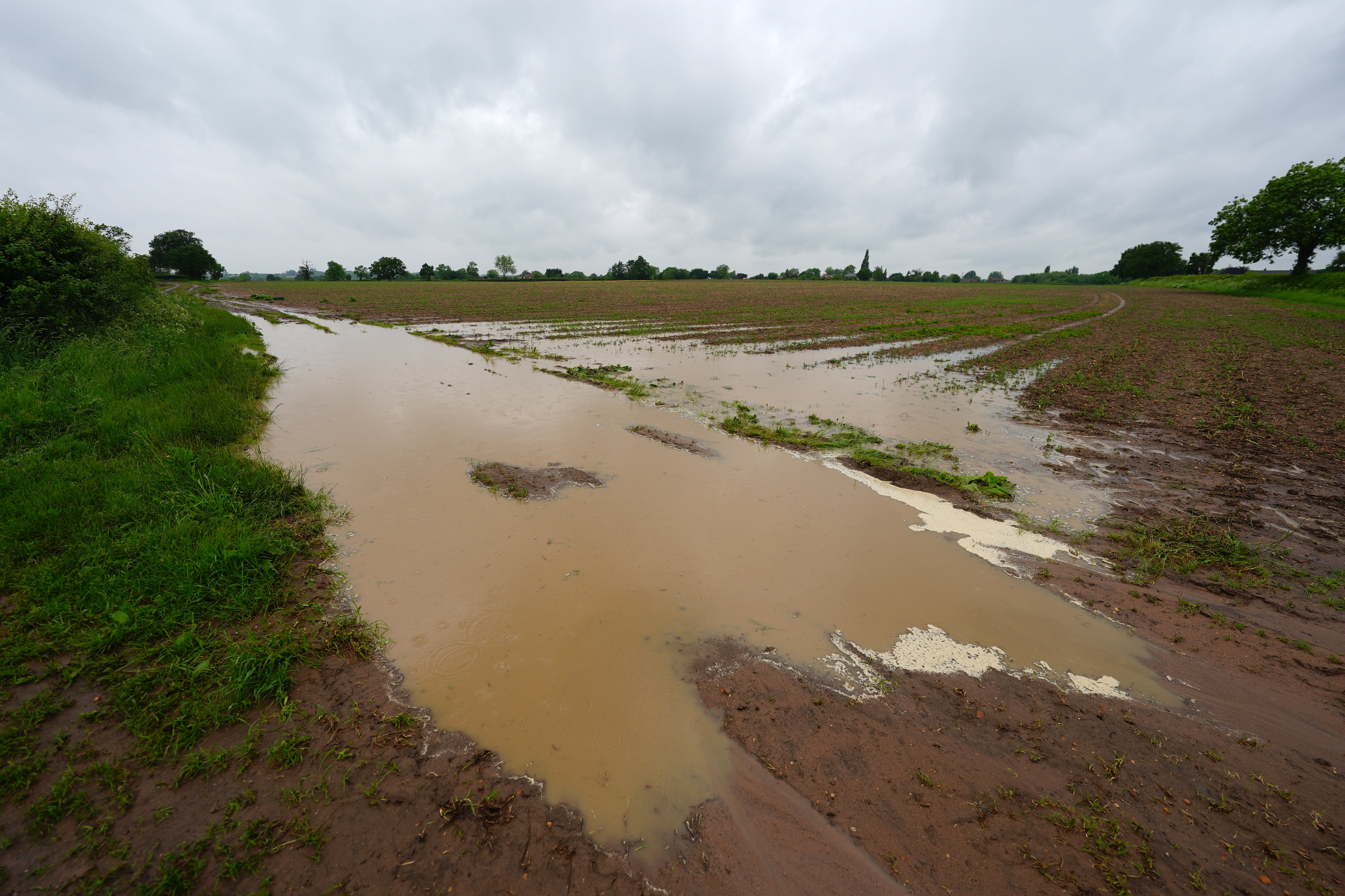 A flooded fruit field near Pershore in Worcestershire