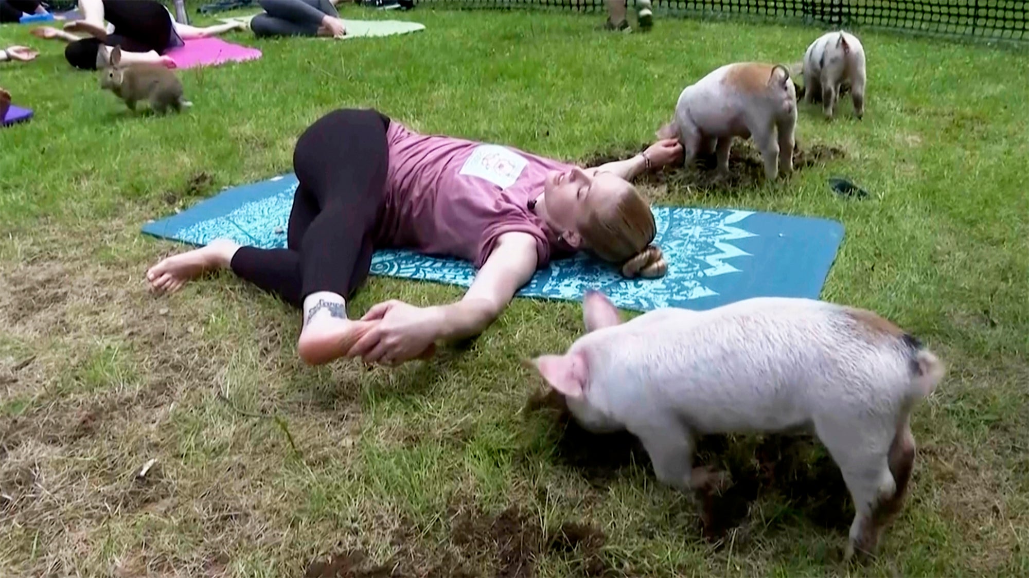 Piglet Yoga