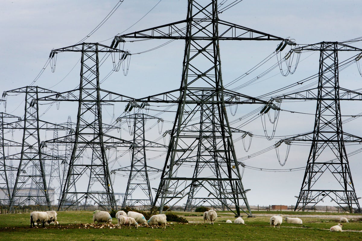 National Grid announces £7bn fundraise to power electricity network upgrades
