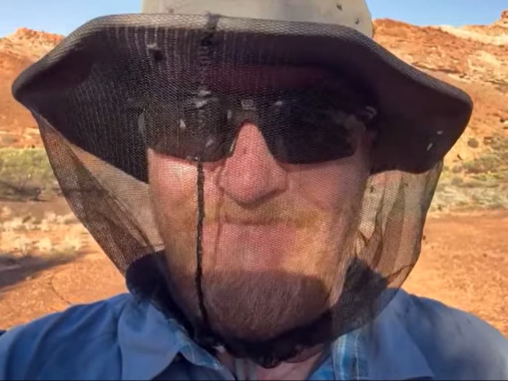Freak weather causes 'absolutely shocking' plague of bush flies in Australia - Vimarsana News