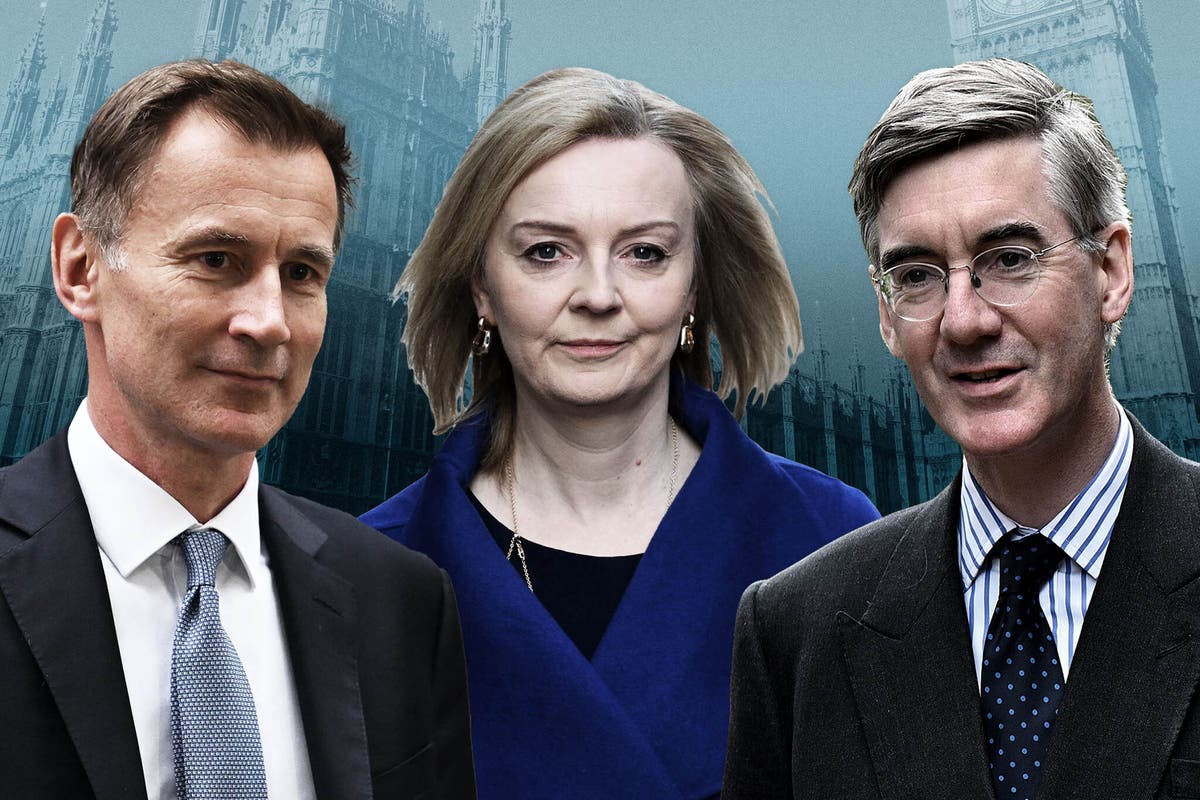 Ten top Tories at risk of losing seats at the general election