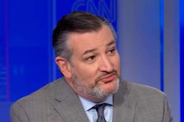 <p>Ted Cruz appeared on CNN in a tense exchange about voter fraud on 22 May 2024 </p>