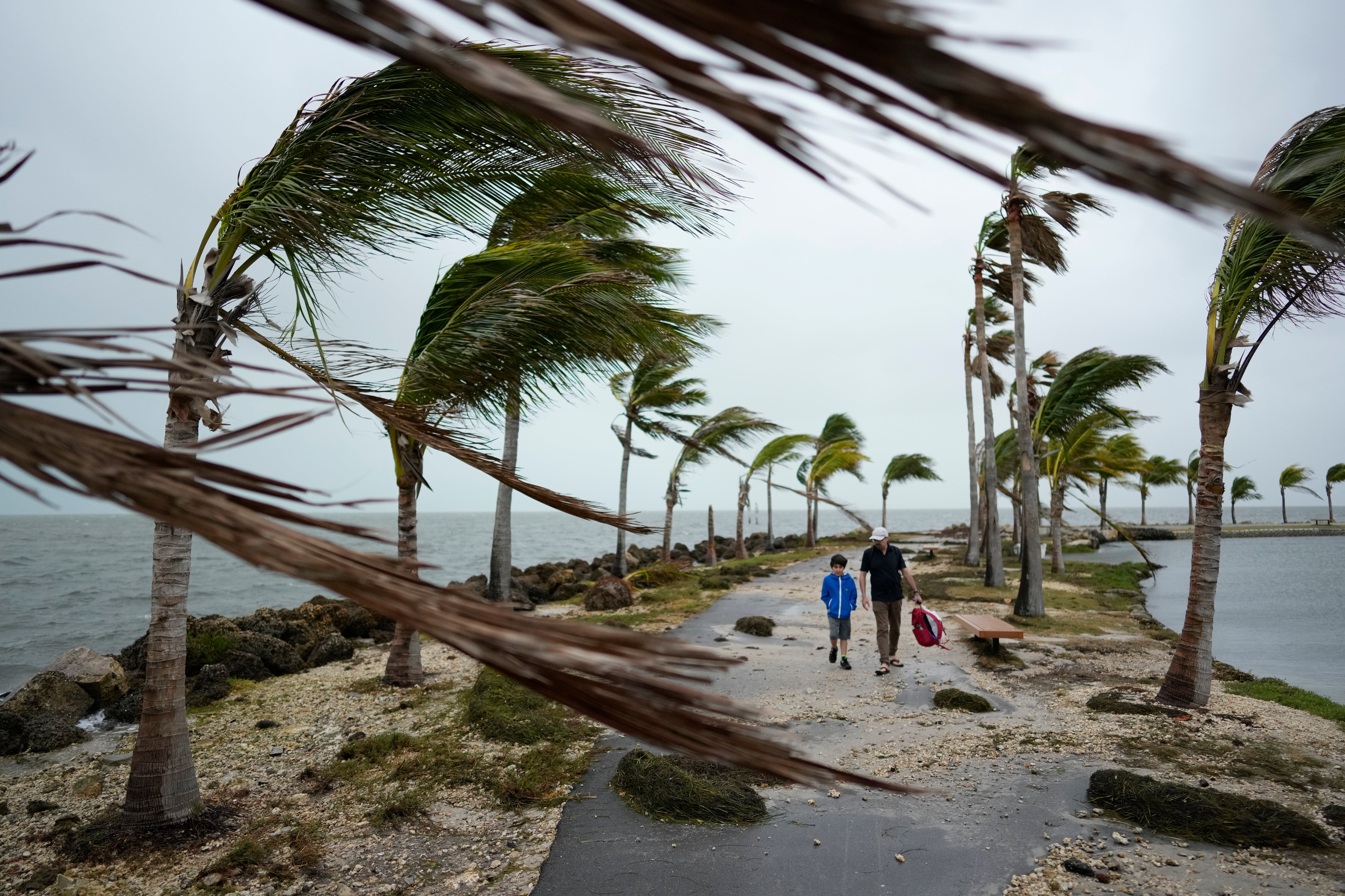 Bob Givehchi, right, and his son Daniel, 8, Toronto residents visiting Miami for the first time, walk past debris and palm trees blowing in gusty winds, at Matheson Hammock Park in Coral Gables