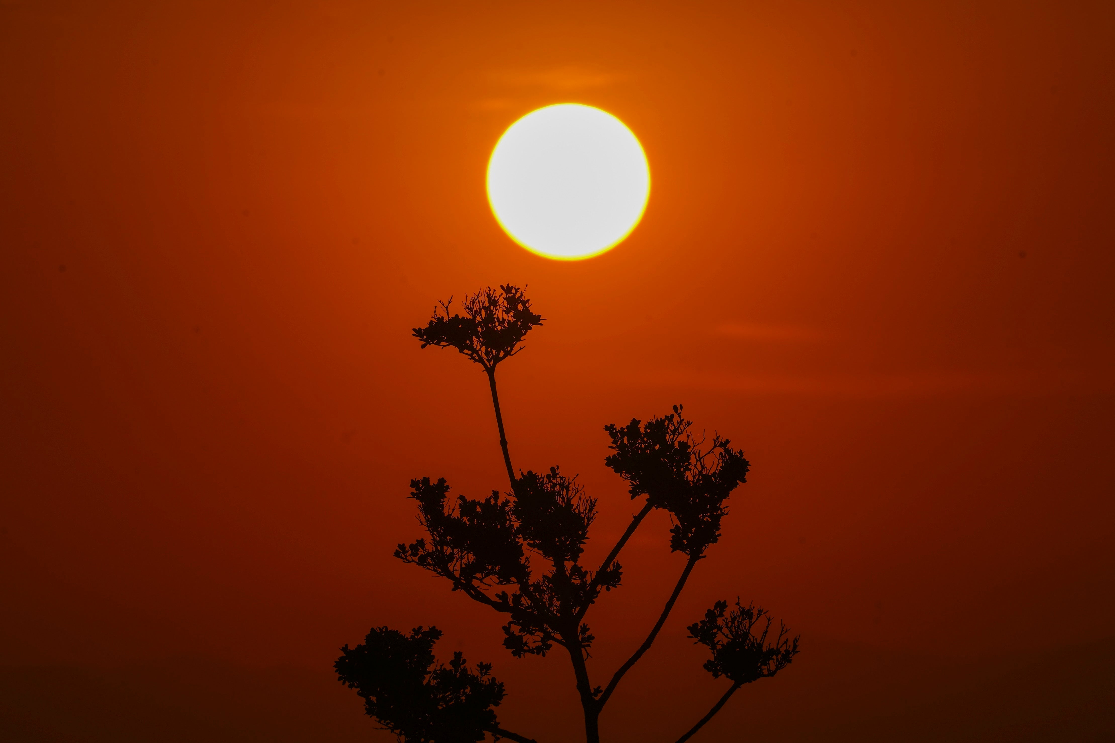 A prolonged and deadly heatwave that has killed at least 48 people in Mexico is headed for the US