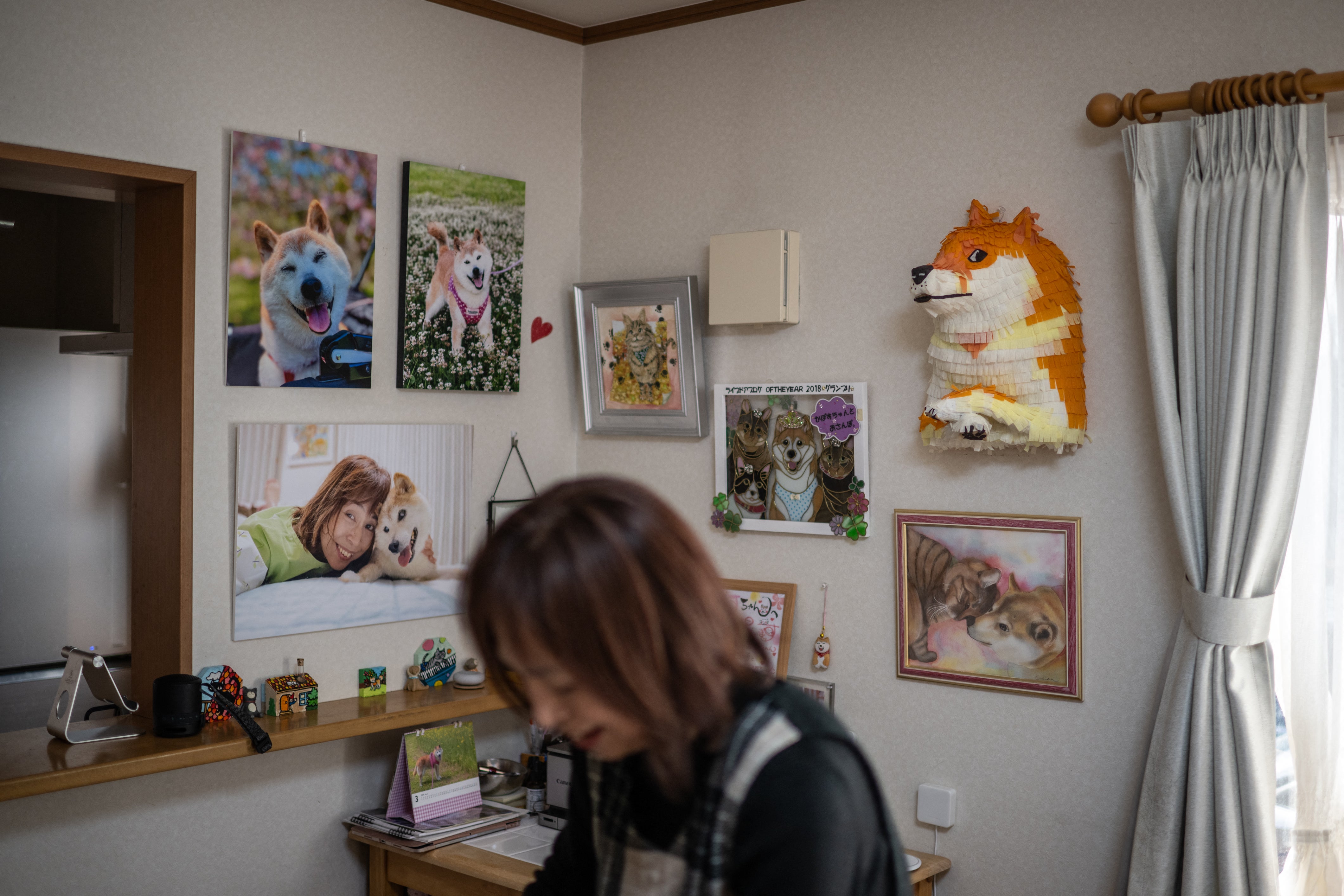 Pictures and products of Japanese shiba inu dog Kabosu, best known as the logo of cryptocurrency Dogecoin, on display at the home of her owner Atsuko Sato in the city of Sakura