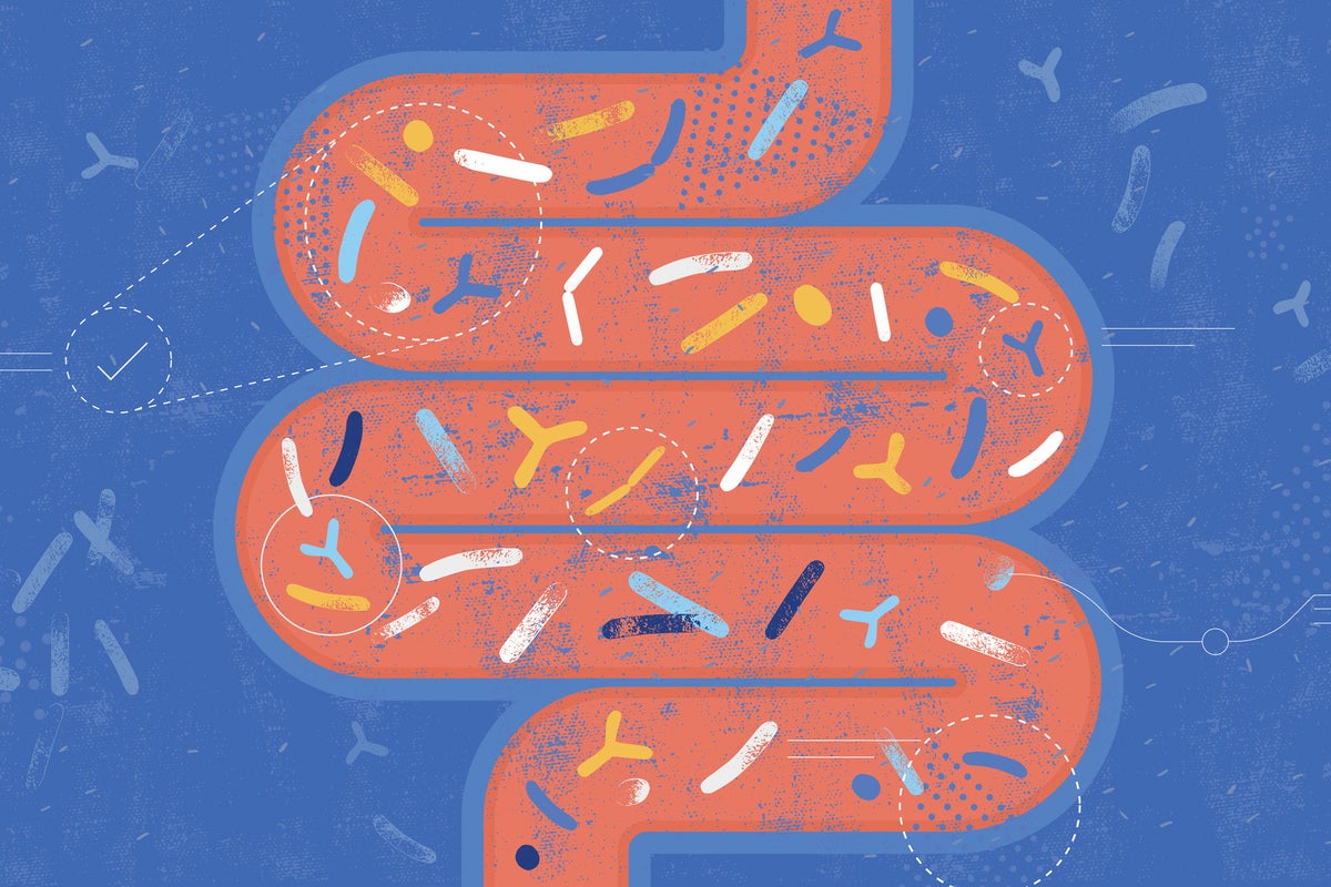 New study finds link between resistance training and gut health