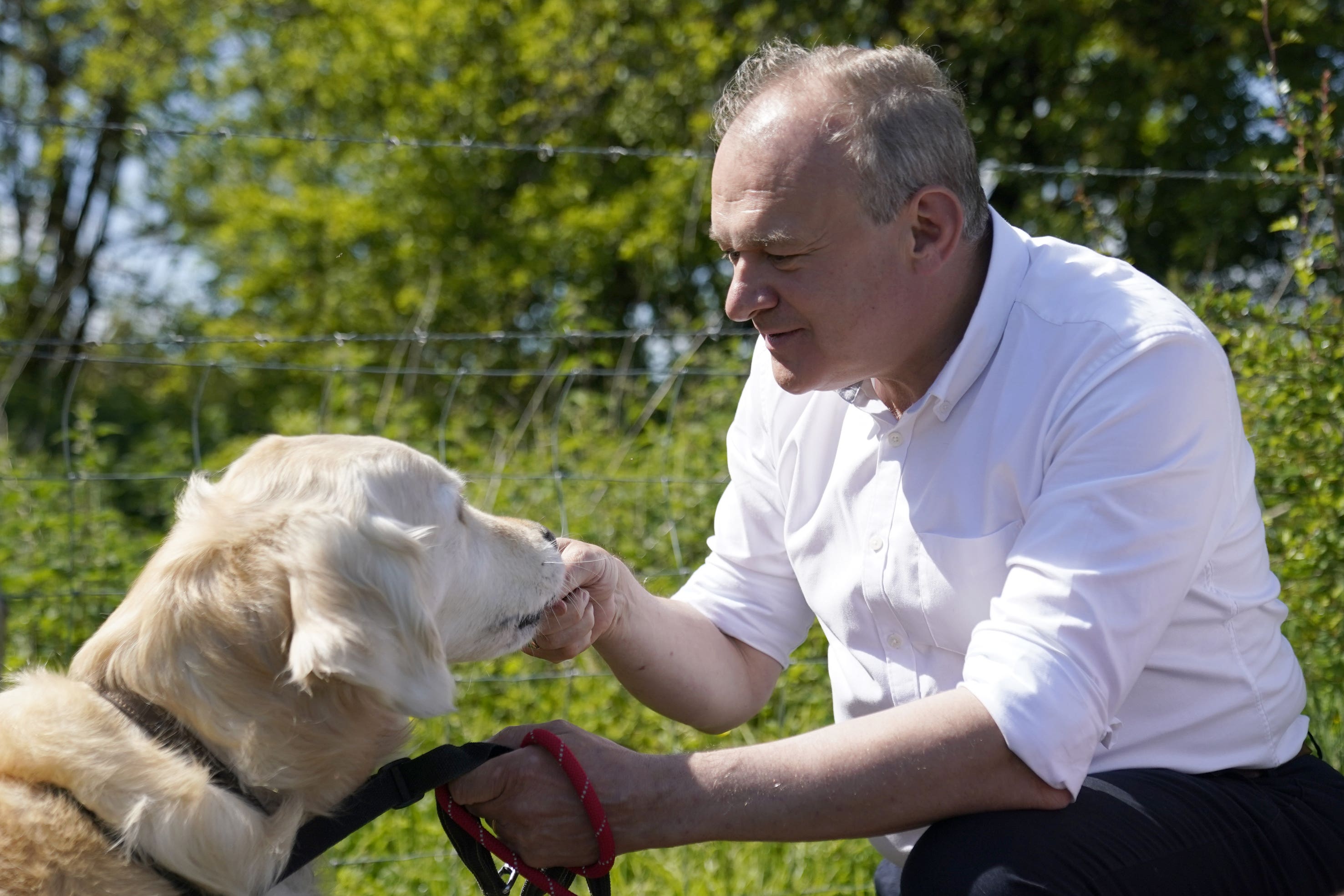 Liberal Democrat leader Sir Ed Davey went on a dog walk with supporters near Winchester (Andrew Matthews/PA)