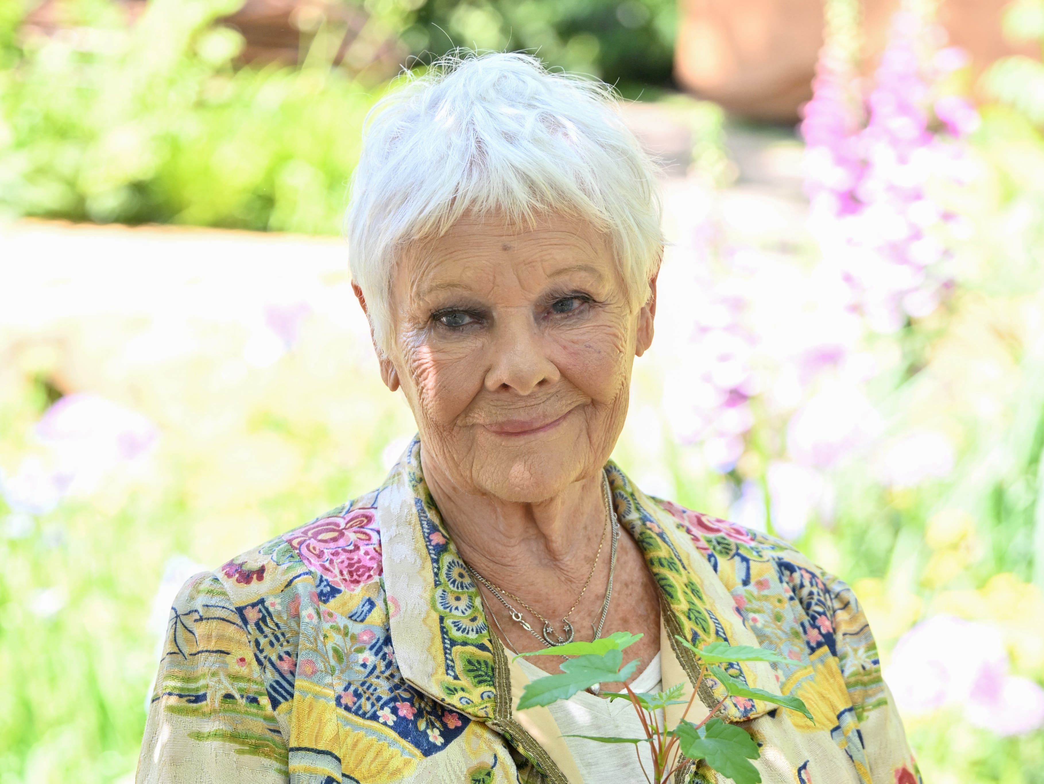 Judi Dench hints film career might be over after 60 years - Vimarsana News