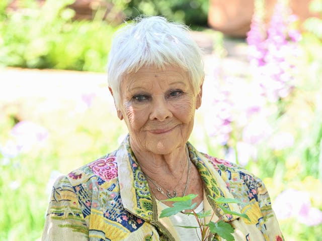 <p>Dame Judi Dench implied she might be retired from film acting</p>