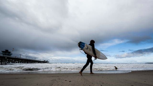 <p>California Beach Aggressive Shark</p>