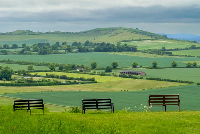 <p>A water recycling centre has been discharging waste into Coombe Bottom brook near Ivinghoe - on the edge of the Chilterns Area of Outstanding Natural Beauty </p>