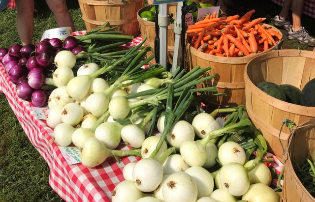 Be Well-Food-Community-Supported Agriculture