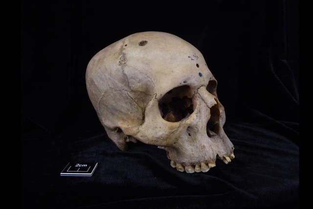 Pharaohs in ancient Egypt sacrificed their servants, new analysis has confirmed