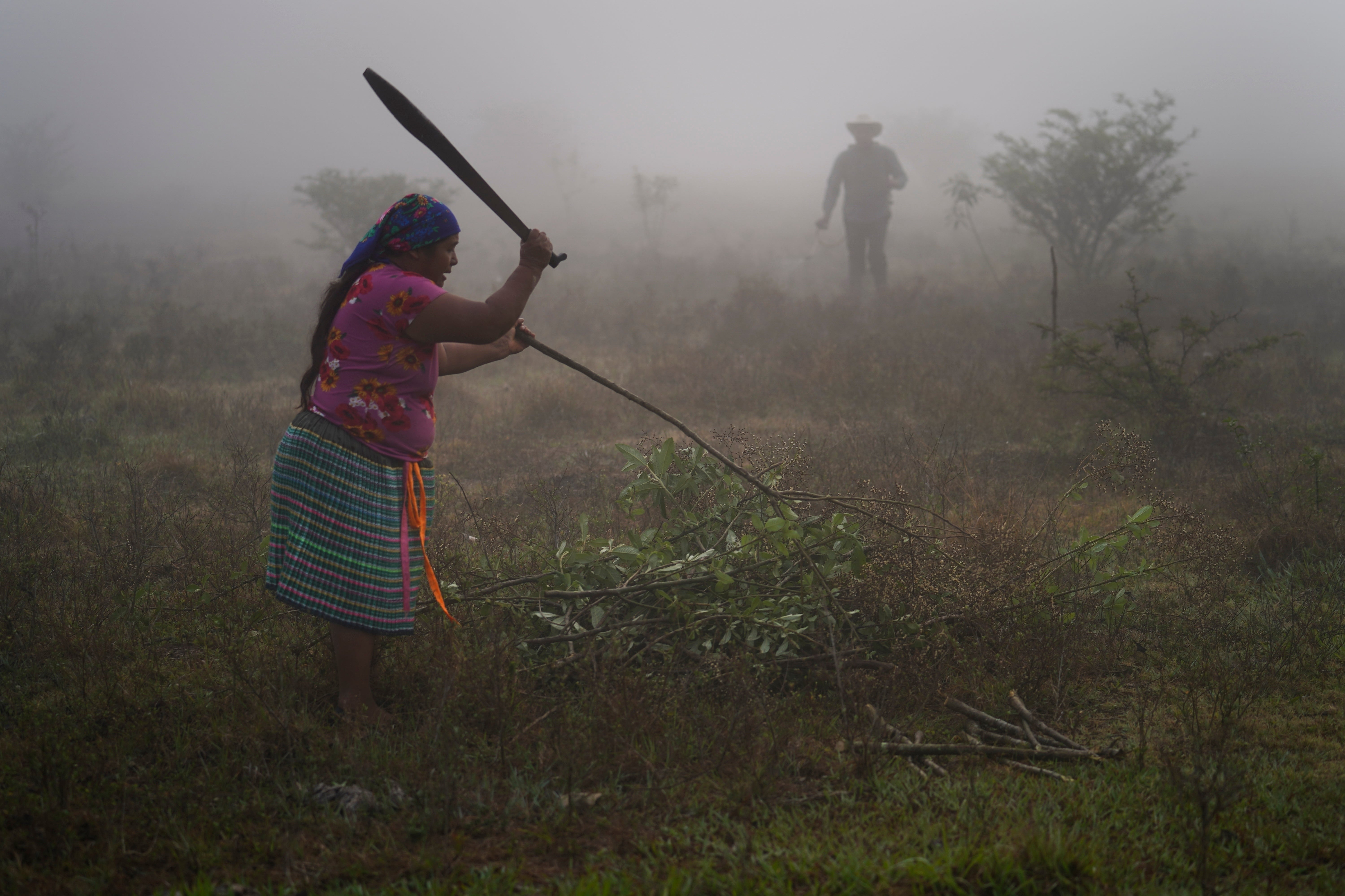 Mexico Election Indigenous Women
