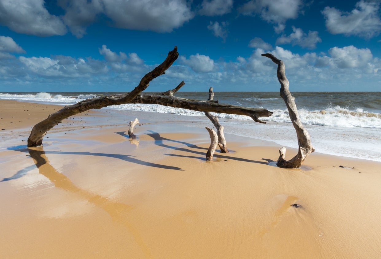 Covehithe Beach sits in the Benacre National Nature Reserve
