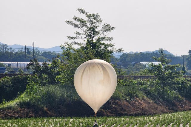 <p>A balloon reportedly sent by North Korea is seen over a rice field at Cheorwon, South Korea</p>