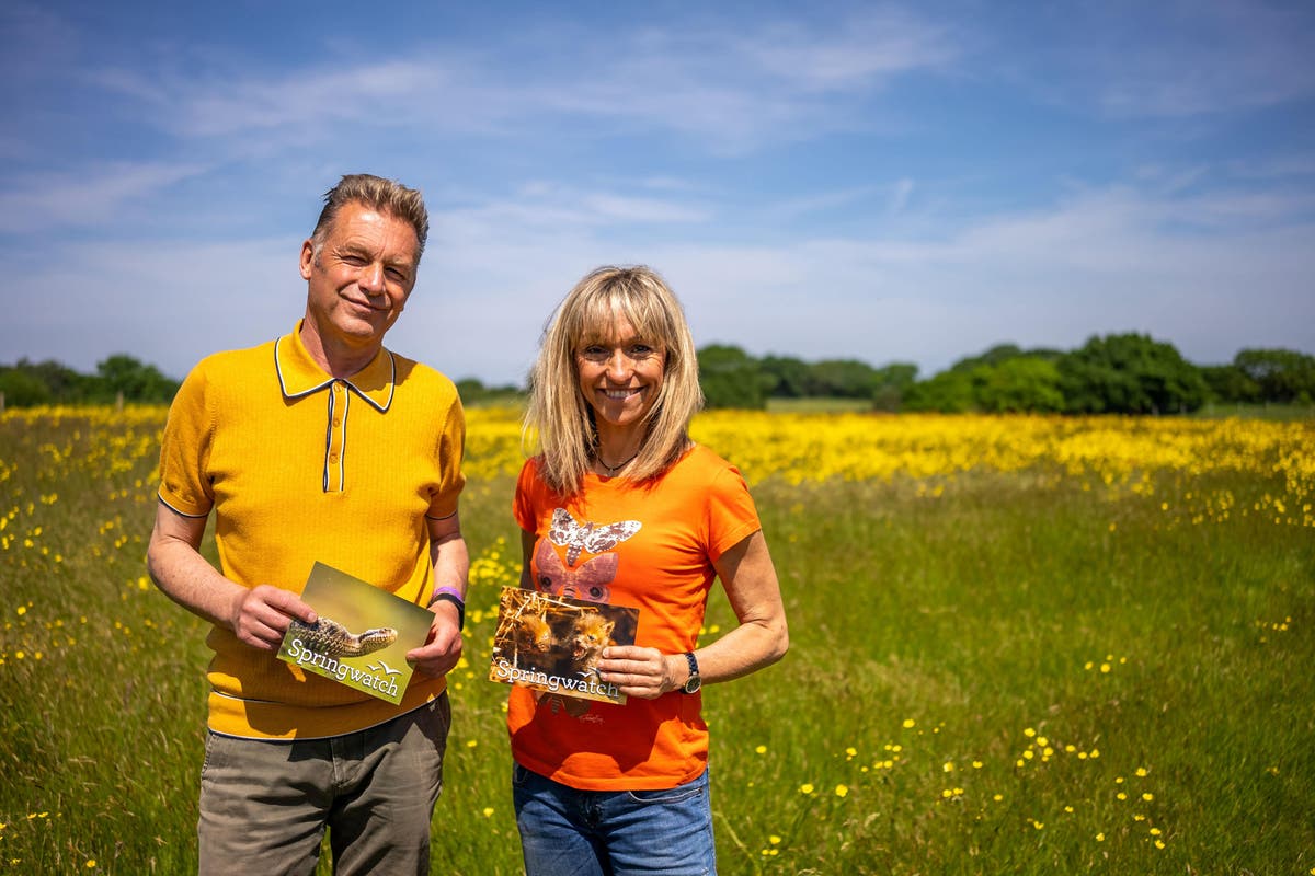 How to get kids interested in the wildlife around them – according to BBC Springwatch presenters