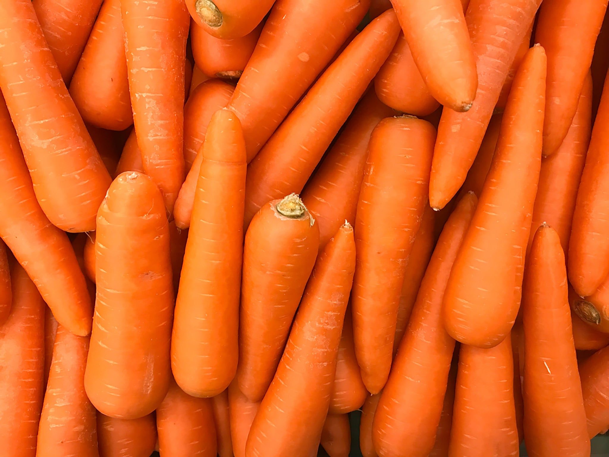 E Coli linked carrots are being sold across 18 states