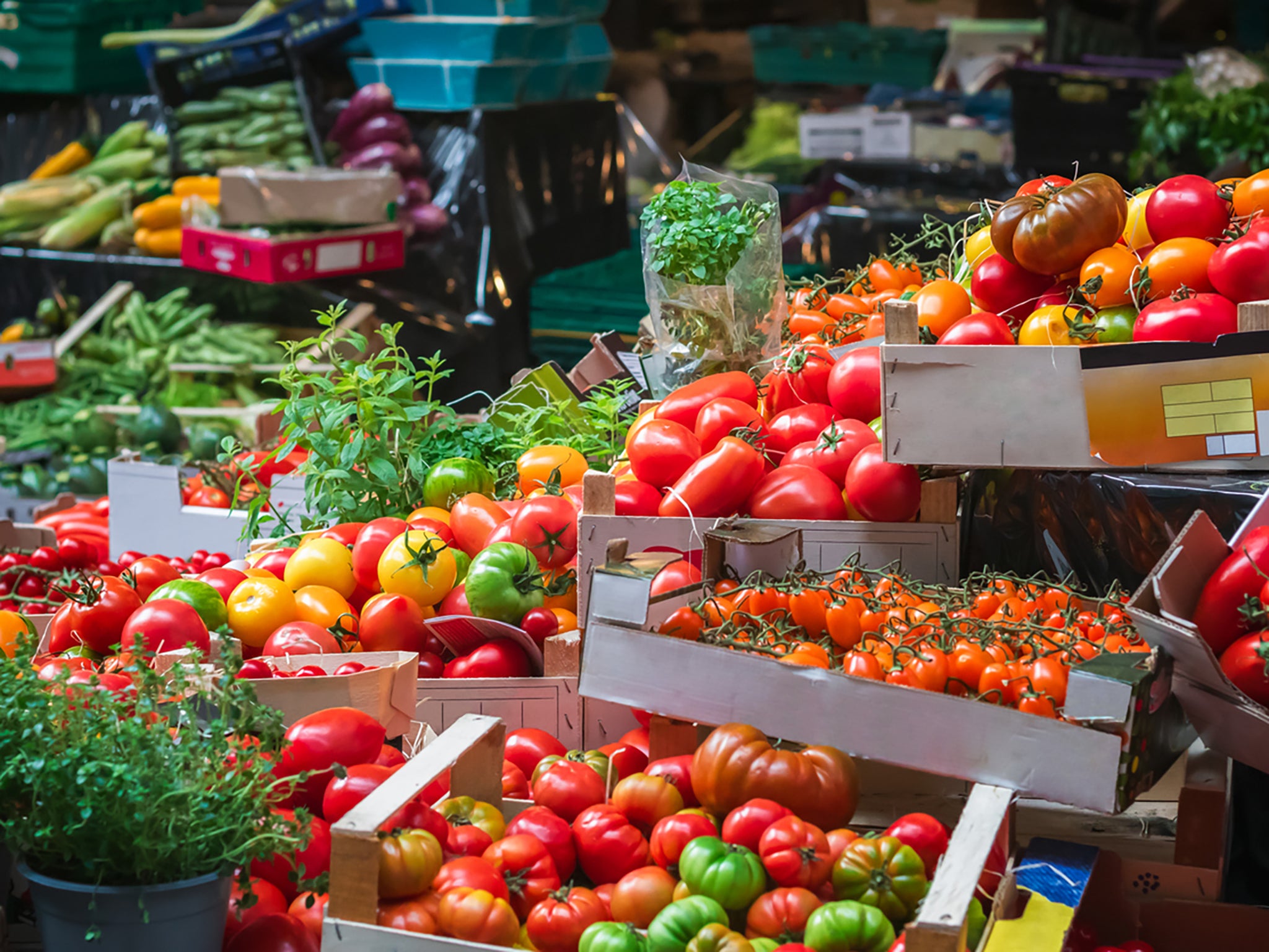 You know it’s summer when there’s tomatoes at the market