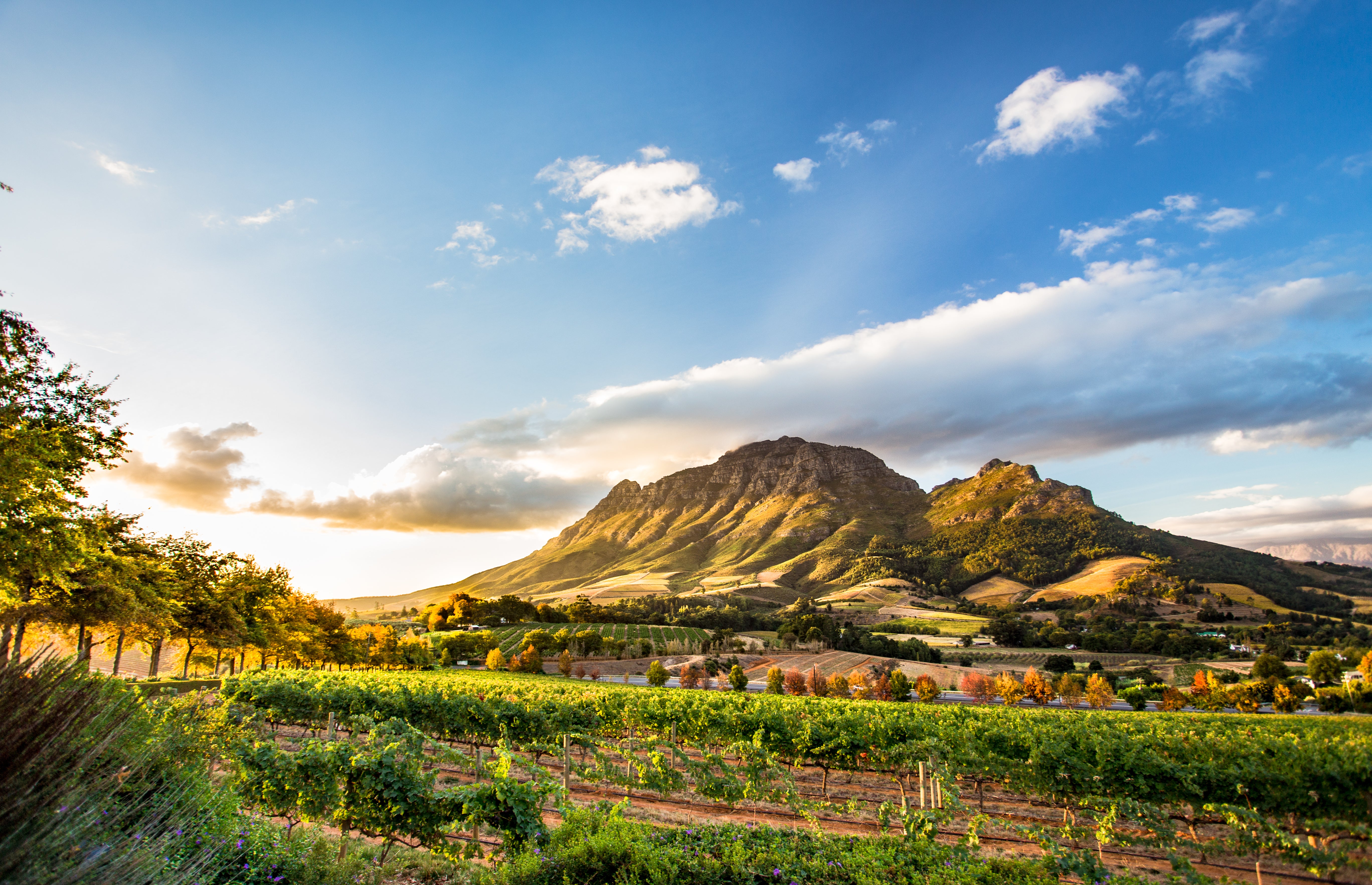 Discover South Africa’s stunning scenery