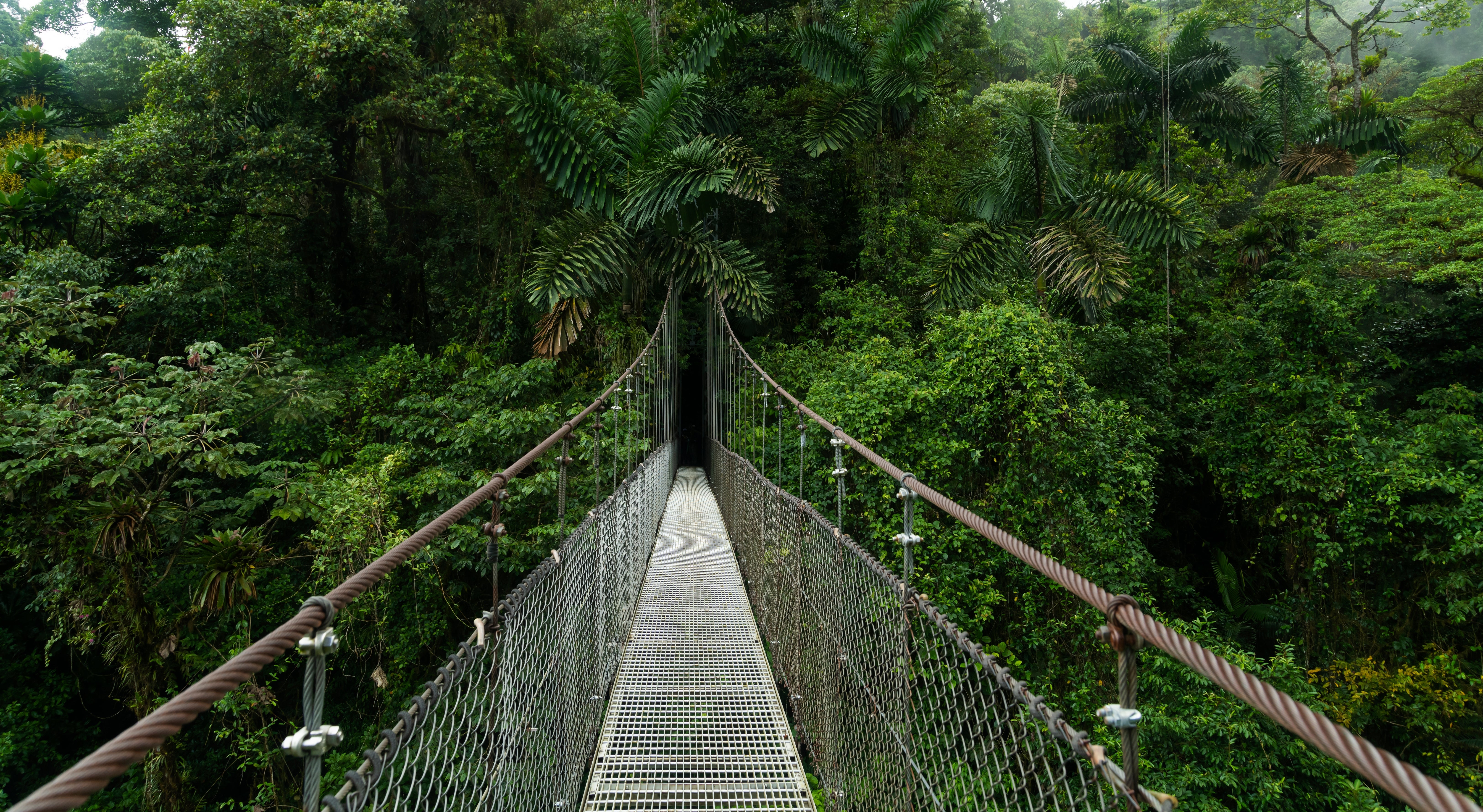Embrace adventure in the lush greenery of Costa Rica