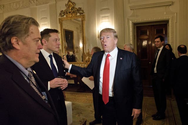 <p>Donald Trump and Elon Musk are pictured in the White House at an event in 2017 along with Steve Bannon, former White House chief strategist  </p>