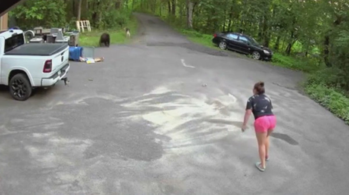 Moment resident and her dog chased by bear rummaging through trash
