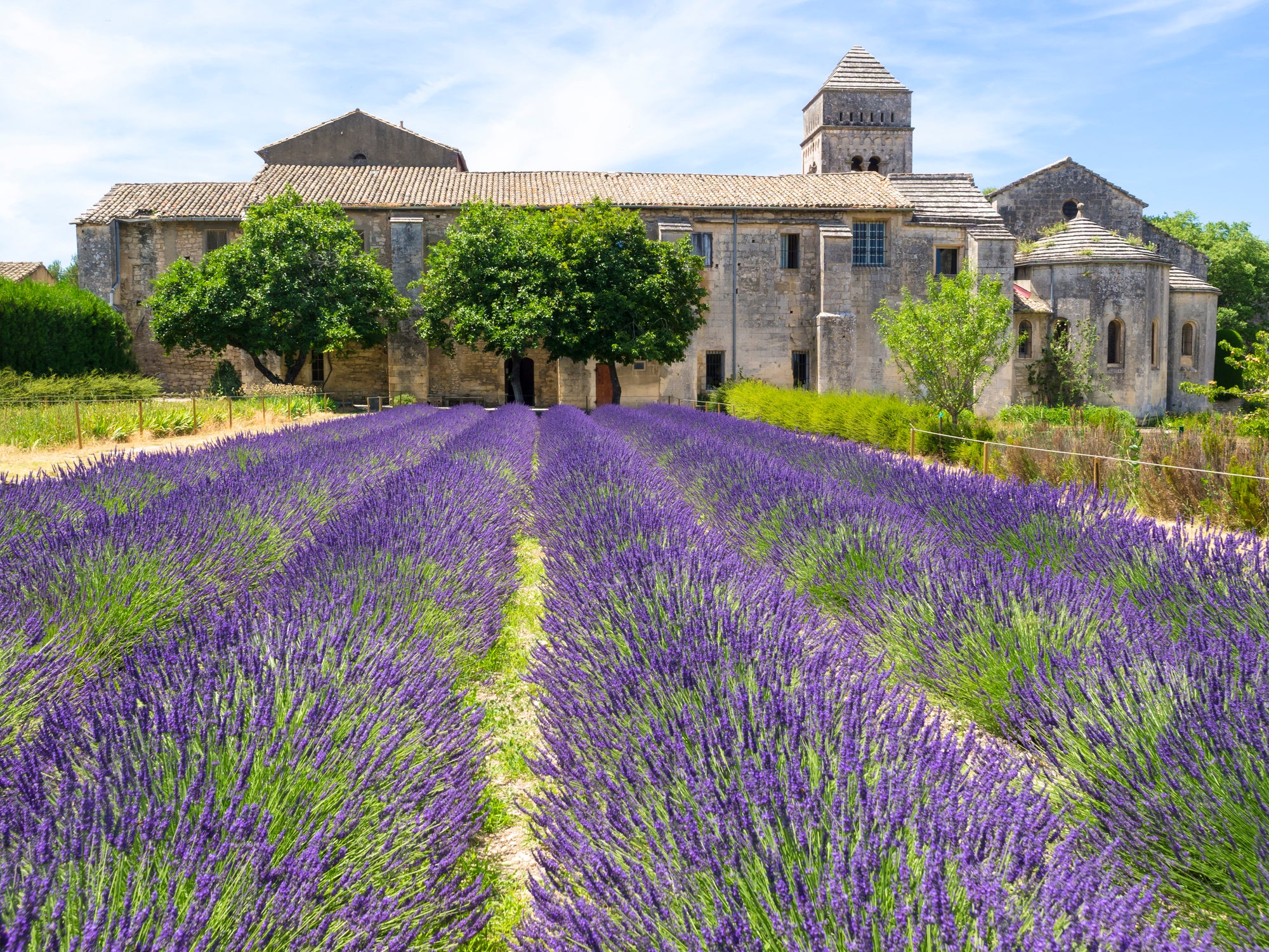 Van Gogh chegou em 8 de maio de 1889 a Saint-Remy-de-Provence após sua infame crise de saúde mental.