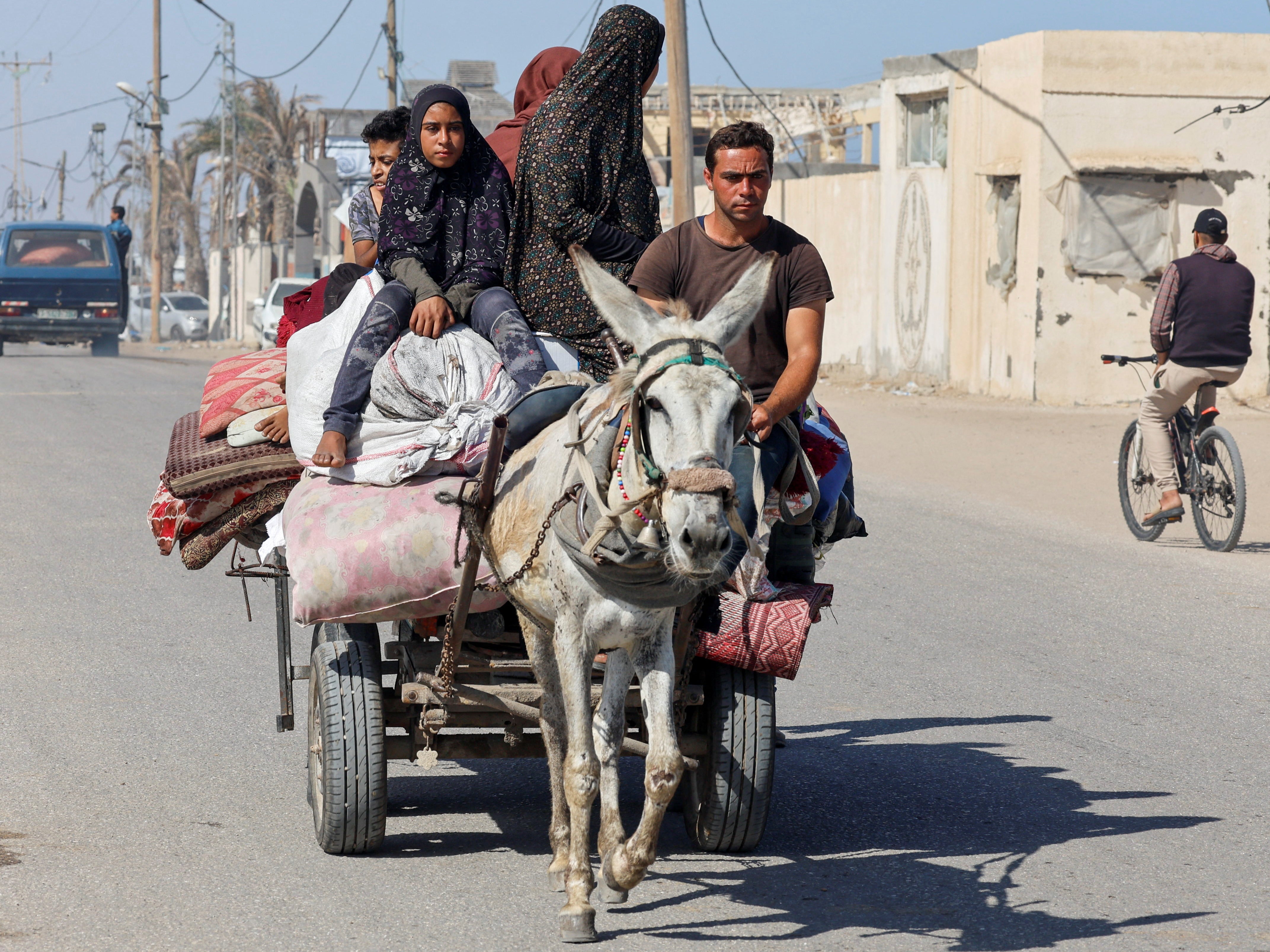 Palestinians flee Rafah in a donkey-drawn cart