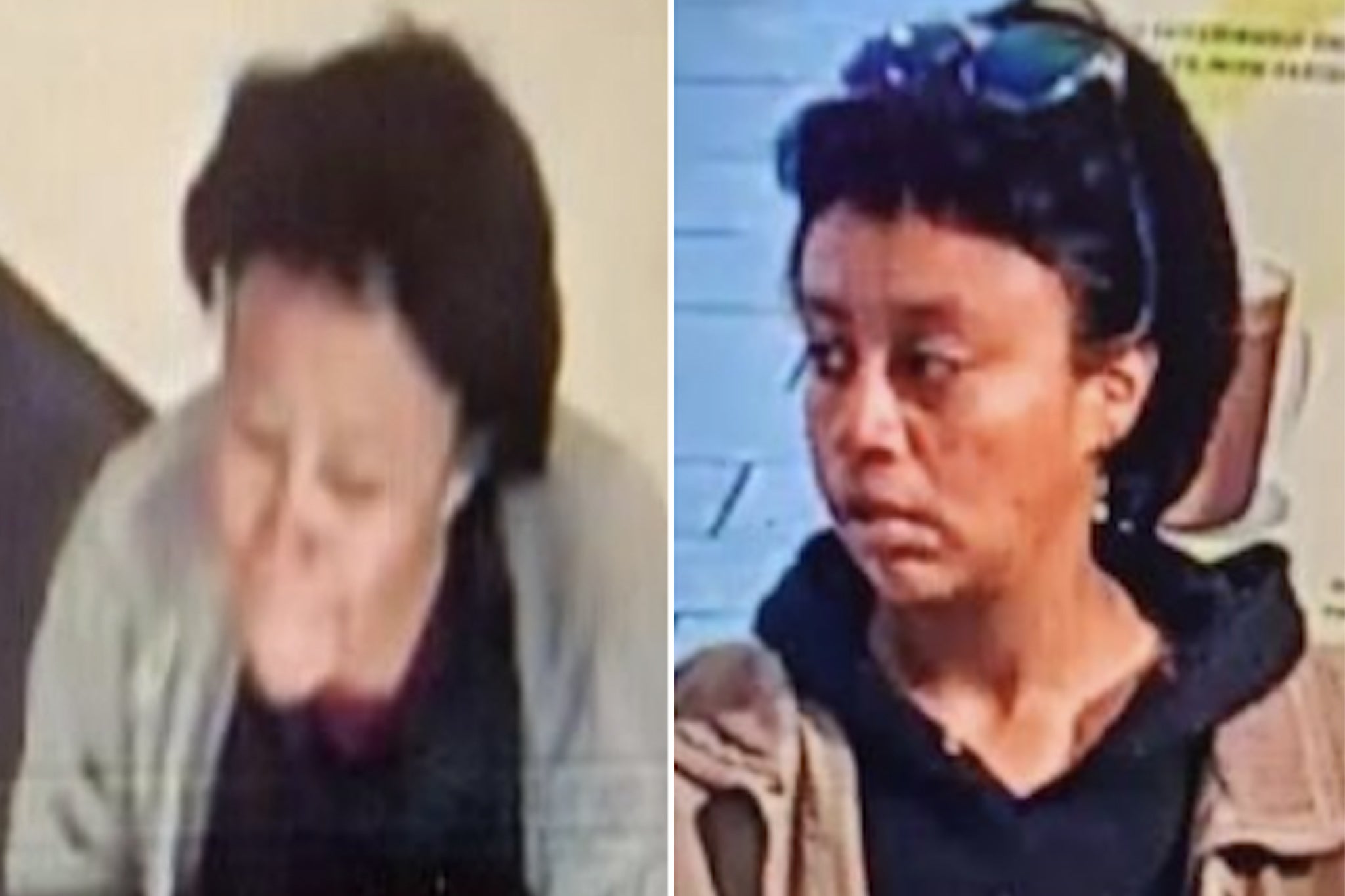 Yara Vinessa Pineda, pictured, was arrested on Tuesday after police say she tried to kidnap children at a Los Angeles park. She was arrested on similar charges in February