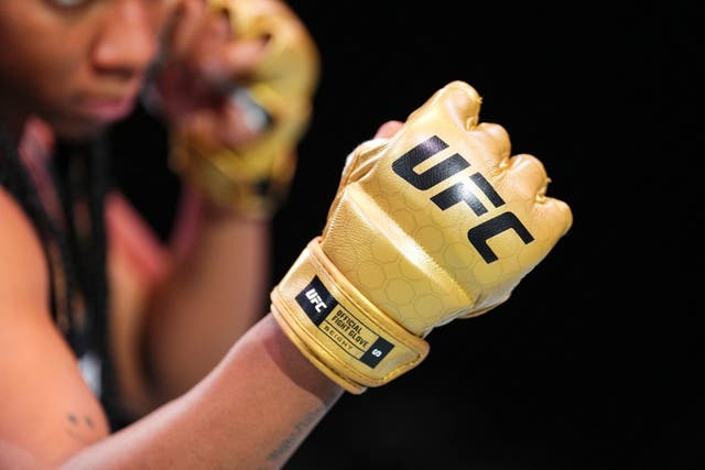 UFC New Gloves Mixed Martial Arts