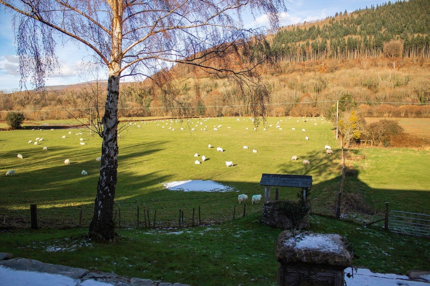 Mountain views towards Sugarloaf from Duffryn Mawr