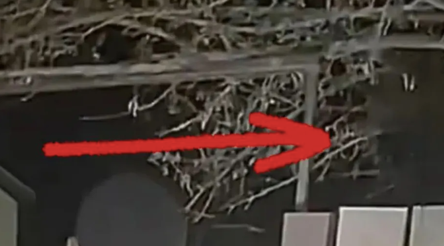 A dark blur in the top-hand corner which crime scene analyst Scott Roder said he believes is the head of an alien