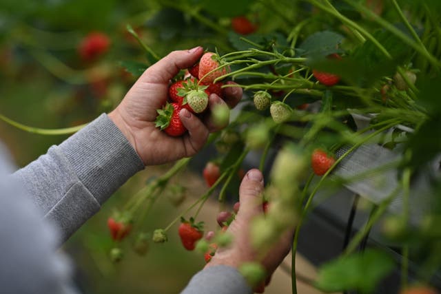 <p>The measure is proposed to tackle exploitation</p>