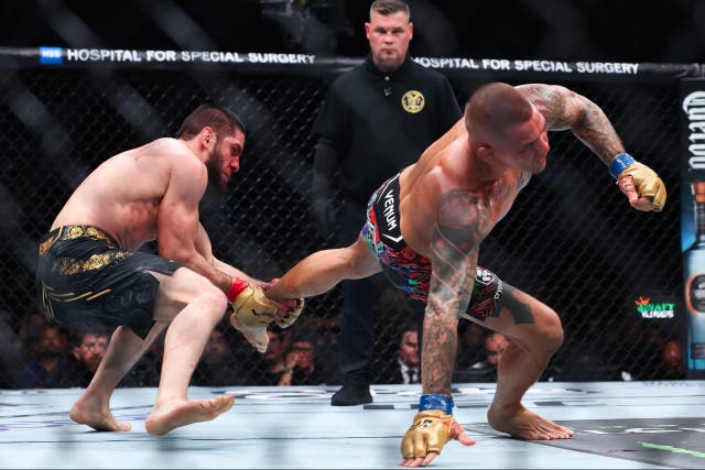 <p>Islam Makhachev (left) used an ankle pick to set up the finish in round five</p>