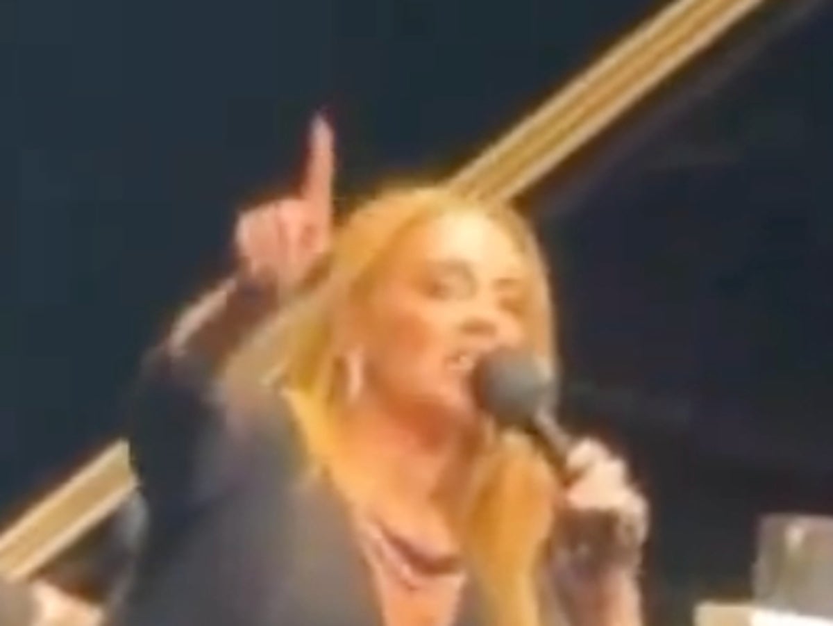 ‘Are you stupid?’ Adele praised for angrily rebuking homophobic anti-Pride fan at concert